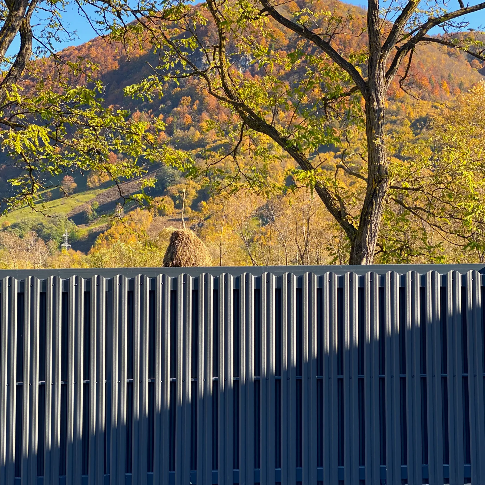 Tisa picket fence with hills behind